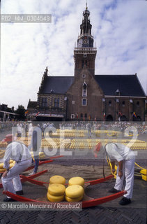 ALKMAAR (Netherlands), Cheese market / ALKMAAR (Olanda), Mercato del formaggio - ©Marcello Mencarini/Rosebud2
