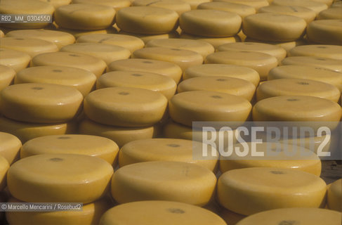 ALKMAAR (Netherlands), Cheese market / ALKMAAR (Olanda), Mercato del formaggio - ©Marcello Mencarini/Rosebud2