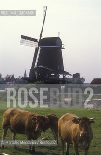 EDAM (Netherlands), Windmills / EDAM (Olanda), Mulini a vento - ©Marcello Mencarini/Rosebud2