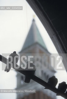 Venice, 1998. Pigeons in St. Marks Square / Venezia, 1998. Piccioni in piazza S. Marco - ©Marcello Mencarini/Rosebud2