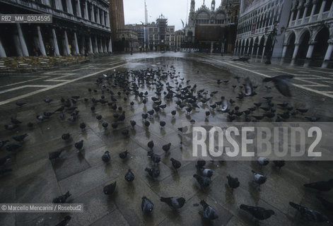 Venice, 1998. Pigeons in St. Marks Square / Venezia, 1998. Piccioni in piazza S. Marco - ©Marcello Mencarini/Rosebud2