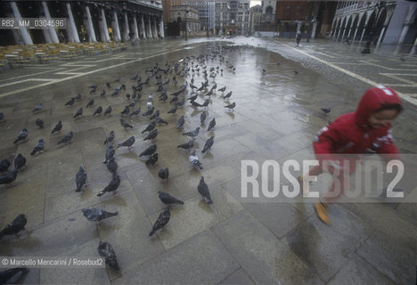 Venice, 1998. Pigeons in St. Marks Square / Venezia, 1998. Piccioni in piazza S. Marco - ©Marcello Mencarini/Rosebud2