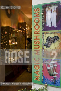 Amsterdam. Coffee shop in the Red Light District - ©Marcello Mencarini/Rosebud2