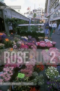 AMSTERDAM, Floating flower market / AMSTERDAM, mercato galleggiante dei fiori - ©Marcello Mencarini/Rosebud2