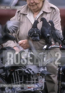 AMSTERDAM, pigeons / AMSTERDAM, piccioni - ©Marcello Mencarini/Rosebud2