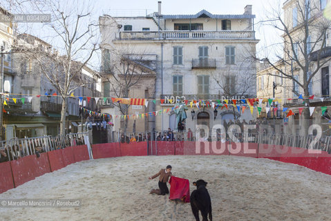 Arles, Provence (France), March 2, 2014. Show of the Arles bullfight children with young bulls in Place du Forum / Arles, Provenza (Francia), 2 marzo 2014. Esibizione dei bambini della scuola taurina di Arles con giovani tori in place du Forum - ©Marcello Mencarini/Rosebud2