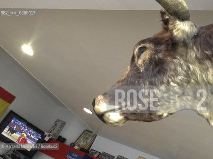 France, Provence, December 2012. Stuffed head of a bull in a bar in Arles / Francia, Provenza, dicembre 2012. Testa imbalsamata di un toro in un bar di Arles - ©Marcello Mencarini/Rosebud2
