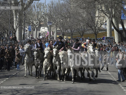 Arles, Provence, Easter Feria 2013. Bandido: demonstration on the road of bulls returning to the barn accompanied by guardians on horseback / Arles, Provenza, Feria di Pasqua 2013. Bandido: dimostrazione in strada di tori che tornano alla stalla accompagnati da guardiani a cavallo - ©Marcello Mencarini/Rosebud2
