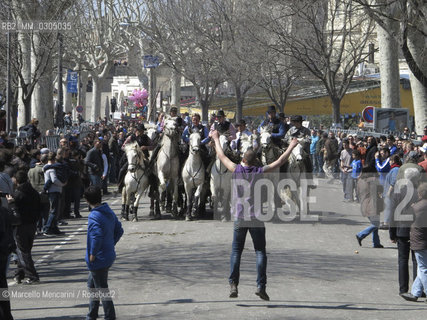Arles, Provence, Easter Feria 2013. Bandido: demonstration on the road of bulls returning to the barn accompanied by guardians on horseback / Arles, Provenza, Feria di Pasqua 2013. Bandido: dimostrazione in strada di tori che tornano alla stalla accompagnati da guardiani a cavallo - ©Marcello Mencarini/Rosebud2