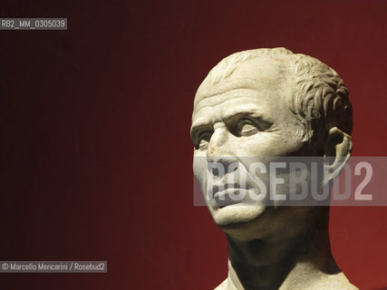 Arles, 2013. Bust of Julius Caesar (first century b. C.) found in the Rhone river and displayed  in the Musée départemental Arles antique (Museum of Ancient Arles) / Arles, 2013. Busto di Giulio Cesare (I° sec. a. C.) trovata nel Rodano ed esposta al Musée départemental Arles antique (Museo dipartimentale di Arles antica) - ©Marcello Mencarini/Rosebud2