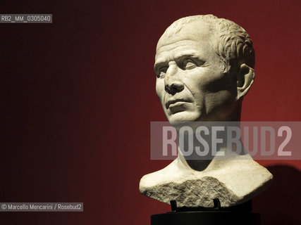 Arles, 2013. Bust of Julius Caesar (first century b. C.) found in the Rhone river and displayed  in the Musée départemental Arles antique (Museum of Ancient Arles) / Arles, 2013. Busto di Giulio Cesare (I° sec. a. C.) trovata nel Rodano ed esposta al Musée départemental Arles antique (Museo dipartimentale di Arles antica) - ©Marcello Mencarini/Rosebud2