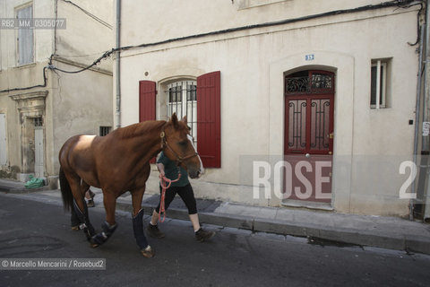 France, Provence, 2013. Horse in a street in Arles / Francia, Provenza, 2013. Cavallo in una via di Arles - ©Marcello Mencarini/Rosebud2