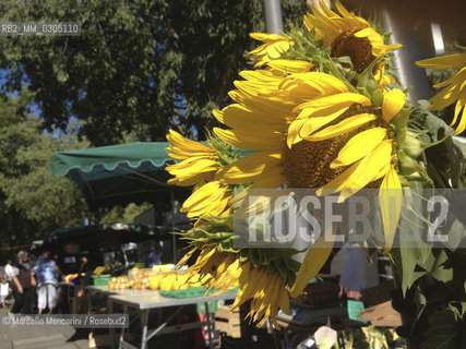 Arles Provence (France), August 2013. Saturday open air market / Arles, Provenza (Francia), Agosto 2013. Mercato settimanale del sabato - ©Marcello Mencarini/Rosebud2