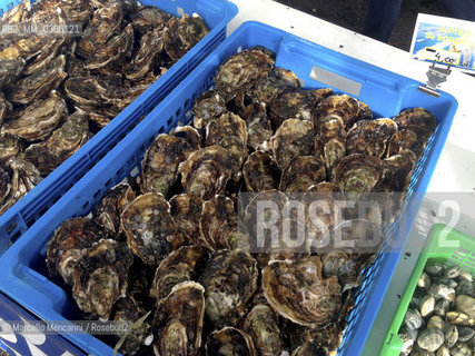France, Provence, 2013. Oysters at the market in Arles / Francia, Provenza, 2013. Ostriche al mercato di Arles - ©Marcello Mencarini/Rosebud2