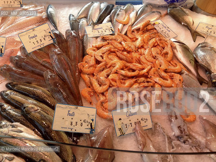 France, Provence, 2013. Fishes and Shrimps at the market in Arles / Francia, Provenza, 2013. Pesci e molluschi al mercato di Arles - ©Marcello Mencarini/Rosebud2