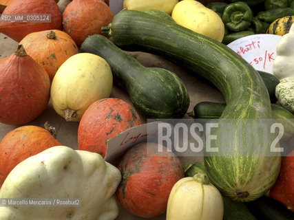 France, Provence, 2013. Pumpkins at the market in Arles / Francia, Provenza, 2013. Zucche al mercato di Arles - ©Marcello Mencarini/Rosebud2