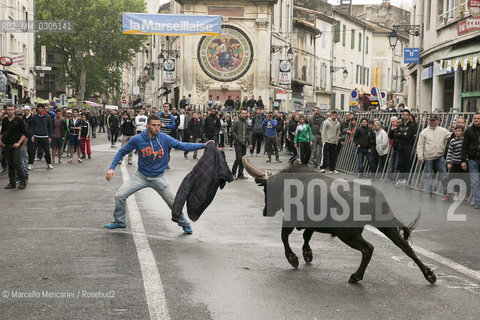 Arles, Provence, Easter Feria 2014. Encierro: young bulls are left running in the streets / Arles, Provenza, Feria di Pasqua 2014. Encierro: giovani tori vengono lasciati correre nelle vie - ©Marcello Mencarini/Rosebud2