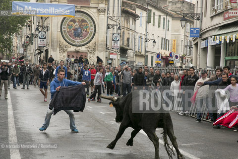 Arles, Provence, Easter Feria 2014. Encierro: young bulls are left running in the streets / Arles, Provenza, Feria di Pasqua 2014. Encierro: giovani tori vengono lasciati correre nelle vie - ©Marcello Mencarini/Rosebud2