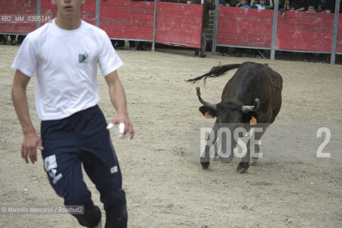 Arles, Provence, Easter Feria 2014. A boy of the bullfight school in Arles performing in a bloodless bullfight with a young bull / Arles, Provenza, Feria di Pasqua 2014. Un ragazzo della scuola taurina di Arles si esibisce in una corrida incruenta con un giovane toro - ©Marcello Mencarini/Rosebud2