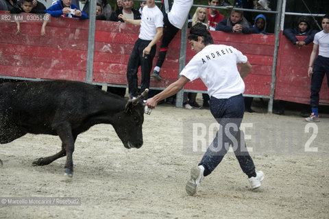 Arles, Provence, Easter Feria 2014. A boy of the bullfight school in Arles performing in a bloodless bullfight with a young bull / Arles, Provenza, Feria di Pasqua 2014. Un ragazzo della scuola taurina di Arles si esibisce in una corrida incruenta con un giovane toro - ©Marcello Mencarini/Rosebud2