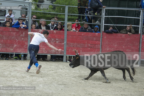 Arles, Provence, Easter Feria 2014. A boy of the bullfight school in Arles performing in a bloodless bullfight with a young bull / Arles, Provenza, Feria di Pasqua 2014. Un ragazzo della scuola taurina di Arles si esibisce in una corrida incruenta con un giovane toro - ©Marcello Mencarini/Rosebud2