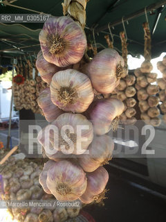 Provence, France. Garlic stand in the Arles weekly outdoor market / Provenza, Francia. Bancarella di aglio nel mercato settimanale allaperto di Arles - ©Marcello Mencarini/Rosebud2