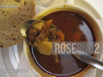 Bratislava, 2010. Goulash soup - ©Marcello Mencarini/Rosebud2