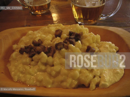 Bratislava, 2010. The national Slovakian dish: a mix of halušky (potato dumplings)  with bryndza (a sheep milk cheese) scattered with fried onion / Bratislava, 2010. Il piatto nazionale slovacco: halušky (gnocchi di patate) con bryndza (formaggio di capra) saltati con cipolle fritte - ©Marcello Mencarini/Rosebud2