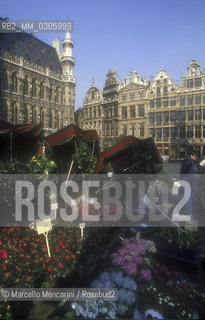 BRUSSELS. Market in the Grand-Place  / BRUXELLES. Mercato dnella Grand-Place - ©Marcello Mencarini/Rosebud2