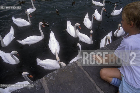 HANNOVER, swans in the Maschsee lake / HANNOVER, cigni nel lago Maschsee - ©Marcello Mencarini/Rosebud2
