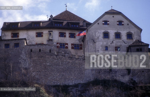 Liechtenstein, VADUZ, Royal residence / Liechtenstein, VADUZ, Residenza del principe - ©Marcello Mencarini/Rosebud2