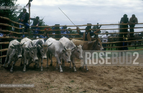Butteri (Maremma cowboys)  / Butteri maremmani - ©Marcello Mencarini/Rosebud2