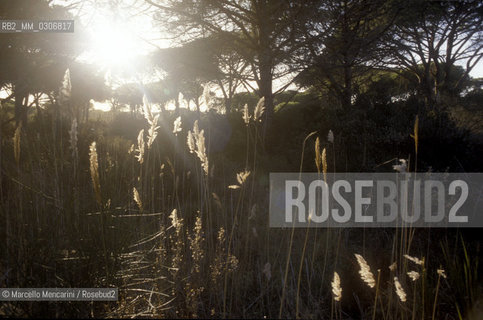 Tuscany, Italy. Natural Park of Maremma / Toscana. Parco naturale della Maremma - ©Marcello Mencarini/Rosebud2