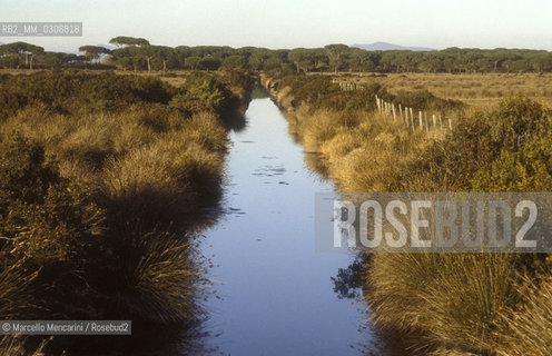 Tuscany, Italy. Natural Park of Maremma / Toscana. Parco naturale della Maremma - ©Marcello Mencarini/Rosebud2