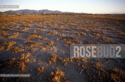 Tuscany, Italy. Natural Park of Maremma / Toscana. Parco naturale della Maremma - ©Marcello Mencarini/Rosebud2