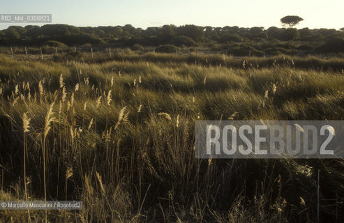 Tuscany, Italy. Natural Park of Maremma / Toscana. Parco naturale della Maremma - ©Marcello Mencarini/Rosebud2