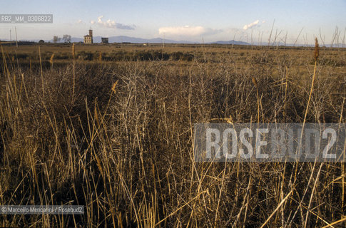 Tuscany, Italy. Natural Park of Maremma / Toscana. Parco naturale della Maremma - ©Marcello Mencarini/Rosebud2