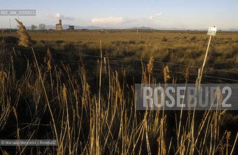 Tuscany, Italy. Natural Park of Maremma / Toscana. Parco naturale della Maremma - ©Marcello Mencarini/Rosebud2