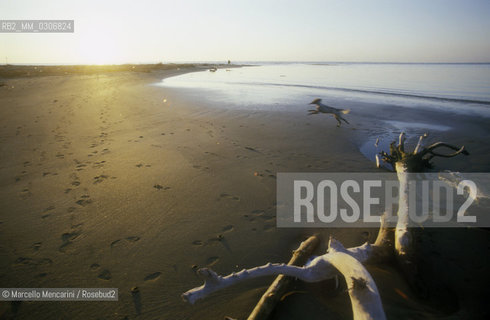 Tuscany, Italy. Natural Park of Maremma / Toscana. Parco naturale della Maremma - ©Marcello Mencarini/Rosebud2