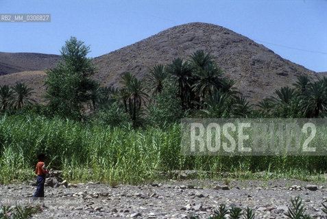 MOROCCO. Desert oasis / MAROCCO. Oasi nel deserto - ©Marcello Mencarini/Rosebud2