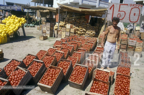 NAPLES, tomato picking / NAPOLI, raccolta dei pomodori ©Marcello Mencarini/Rosebud2