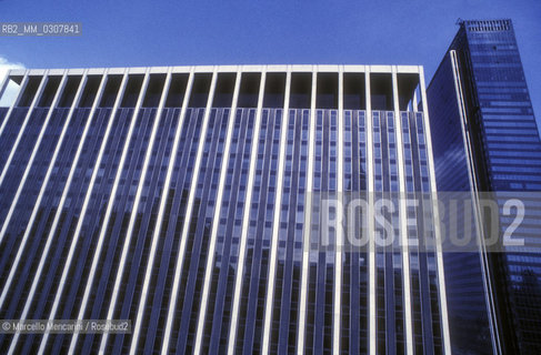 New York (1989). Madison Square Garden - ©Marcello Mencarini/Rosebud2