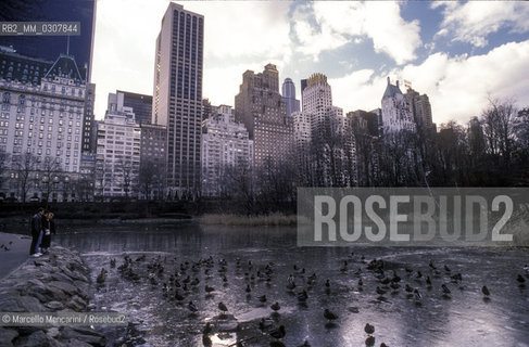 New York (1989). Central Park - ©Marcello Mencarini/Rosebud2
