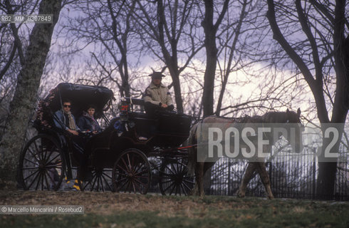 New York (1989). Carriage in Central Park / New York (1989). Carrozza in Central Park - ©Marcello Mencarini/Rosebud2
