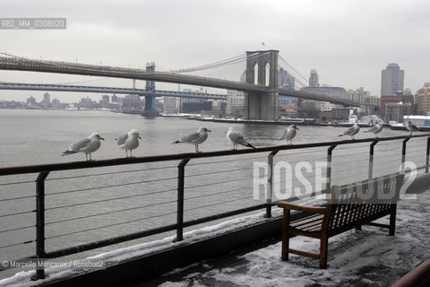 New York, February 2008. The Brooklyn Bridge (also known as the East River Bridge) seen from Seaport / Il ponte di Brooklin (o East River Bridge) visto da Seaport - ©Marcello Mencarini/Rosebud2