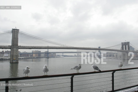 New York, February 2008. The Brooklyn Bridge (also known as the East River Bridge) seen from Seaport / Il ponte di Brooklin (o East River Bridge) visto da Seaport - ©Marcello Mencarini/Rosebud2