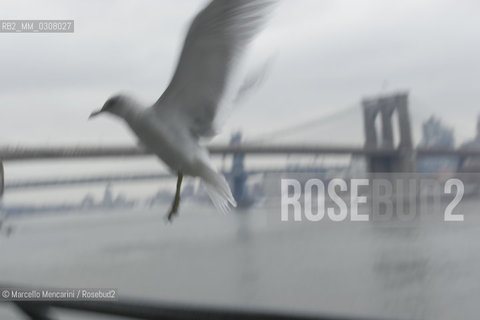 New York, February 2008. The Brooklyn Bridge (also known as the East River Bridge) seen from Seaport / Il ponte di Brooklin (o East River Bridge) visto da Seaport - ©Marcello Mencarini/Rosebud2
