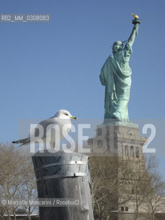 New York City, 2008. The Statue of Liberty / New York, 2008. Statua della Libertà - ©Marcello Mencarini/Rosebud2