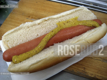 New York City, 2008. Hot Dog with mustard / New York, 2008. Hot dog con senape - ©Marcello Mencarini/Rosebud2