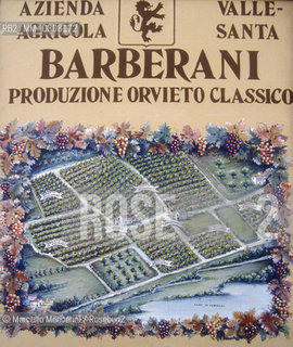 ORVIETO. Barberani winery, producer of Orvieto Classico wine / ORVIETO, azienda vitivinicola Barberani, produttrice di vino Orvieto classico - ©Marcello Mencarini/Rosebud2